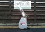 BCS Snow Blower 28 inch - 4