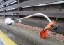 Stihl FS40 (6)