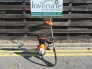 Stihl FR460TC-EM - u032477 - 3